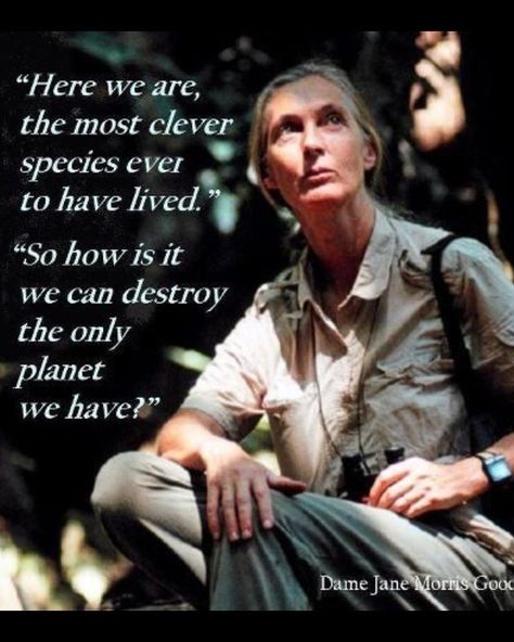 Jane Goodall Quotes, Lisa Smith, Save Our Earth, Jane Goodall, Wild Heart, Save Earth, What’s Going On, Inspirational People, Great Quotes