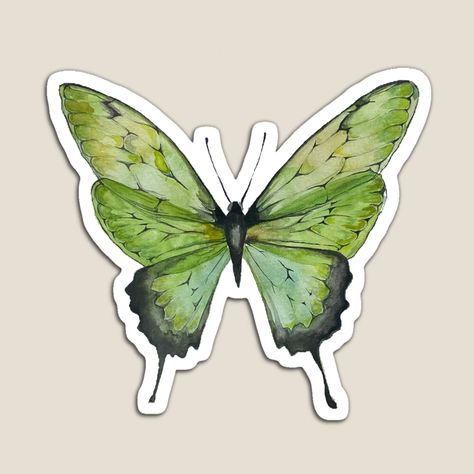 Get my art printed on awesome products. Support me at Redbubble #RBandME: https://www.redbubble.com/i/magnet/Monarch-Green-Sage-Butterfly-Watercolor-Sticker-Aesthetic-by-barbz2020/95792524.TBCTK?asc=u Laptop Stickers Collage, Sage Butterfly, Monarch Butterfly Watercolor, Cover Binder, Green Scrapbook, Aesthetic Butterfly, Sticker Aesthetic, Fairy Stickers, Images Kawaii