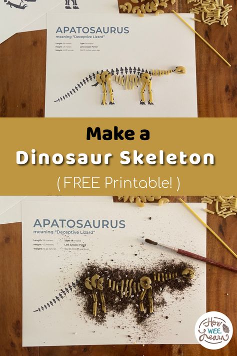 Make a dinosaur skeleton for a dinosaur unit study perfect for kids of all ages from preschoolers through to elementary grade school kids! This free printable dinosaur skeleton activity is ideal for homeschoolers. Print off the dinosaur skeletons, glue on some pasta, sprinkle some coffee grinds, and go on a dinosaur dig! Choice Board Template Free Printable, Dinosaur Noodle Skeleton Craft, Dinosaur Research Project, Dinosaur Steam Activities, Dinosaur Skeleton Craft, Dinosaur Inquiry, Dinosaur Stomp, Dinosaurs Kindergarten, Dinosaur Unit Study