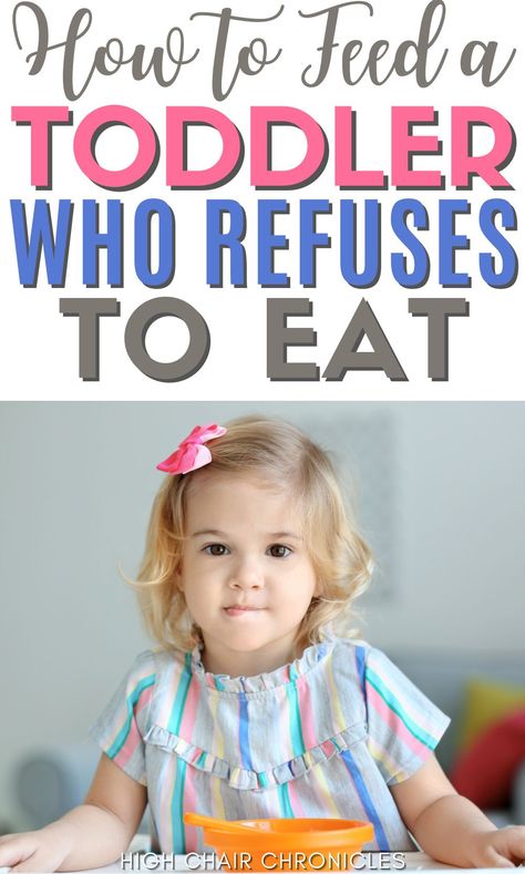 Easy Family Meals For Picky Eaters, 12 Month Old Picky Eater, Whole Food Toddler Snacks, Meal Idea For Picky Eaters, Picky Eaters Toddler Meals, Healthy Meals Toddlers Will Eat, Super Picky Eater Recipes, Healthy Snacks For Picky Toddlers, 2 Year Toddler Meals