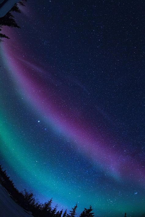 Photographer Dominic Chu captured a perfectly timed progression of the famed Northern Lights on a recent trip to Yellowknife, Canada, capital of the Northern Territories. Yellowknife Canada, Northern Lights Wallpaper, Northern Lights Photo, Northern Lights Photography, Aurora Sky, Northern Lights Norway, Sky Quotes, Northern Lights (aurora Borealis), Aurora Borealis Northern Lights