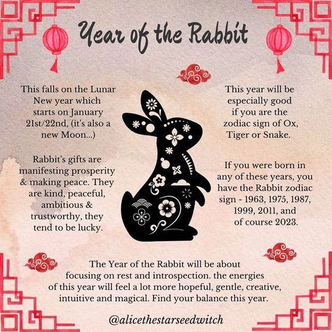 Lunar New Year Tattoo, Rabbit Chinese Zodiac, Witch Astrology, Year Of Rabbit, Chinese New Year Zodiac, Rabbit Year, Filial Piety, The Year Of The Rabbit, Chinese Lunar New Year