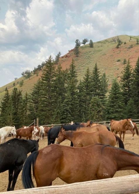 Dude Ranch Aesthetic, Cowgirl Era, Chestnut Springs, Country Romance, Done And Dusted, Cowboy Romance, Country Aesthetic, Cowboy Aesthetic, Small Town Romance