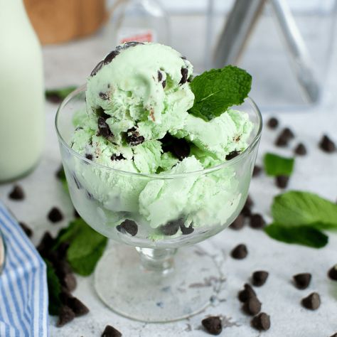 Mint Chocolate Chip Ice Cream Recipe, Chocolate Chip Ice Cream Recipe, Best Homemade Ice Cream, Tasty Ice Cream, Homemade Hot Fudge, Mint Chip Ice Cream, Mint Chocolate Chip Ice Cream, Mint Ice Cream, Mint Chocolate Chip