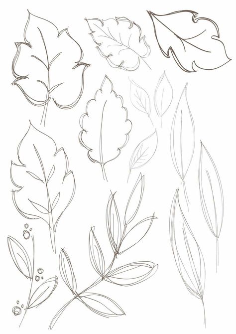 30+ Simple Leaf Drawing Ideas - How To Draw Leaf? - HARUNMUDAK Pins