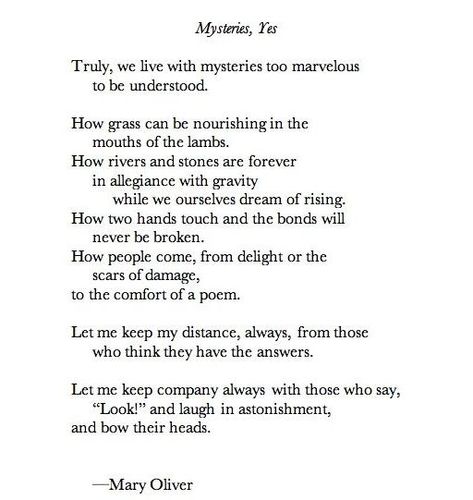 Mary Oliver Love, Mary Oliver Quotes, Mary Oliver Poems, To Be Understood, Poetic Words, You Poem, Love Poem, Senior Quotes, Mary Oliver