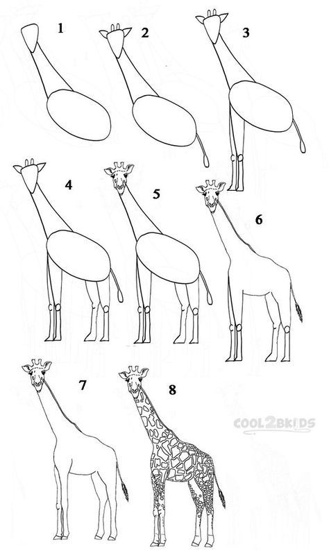 3.3Kshares Facebook46 Twitter2 Pinterest3.3K StumbleUpon0 TumblrThere are some creatures out there that are a cartoonist’s dream in the features they have and the giraffe is definitely one of them. We mean just look at the giraffe with its disproportionately long neck, small face with wide eyes, those cute little horn like things on their head, the mouth that seems to have a weird movement while chewing and the long legs. Need we go on? There is so much the giraffe has to offer in terms of ca... Drawing Faces, Trin For Trin Tegning, Giraffe Drawing, Giraffe Art, Baked Yams, Beetroot Dip, Hamburger Patties, Vegan Crackers, Lemon Sauce