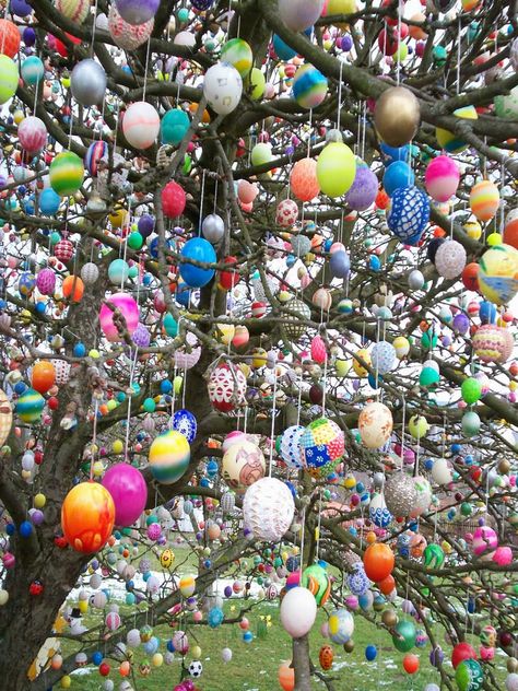 German Easter Facts and Customs- All About Easter in Germany! Natal, German Easter Traditions, German Easter, Learning German, Farmhouse Easter Decor, Easter Egg Tree, Easter Event, Custom Easter, About Easter