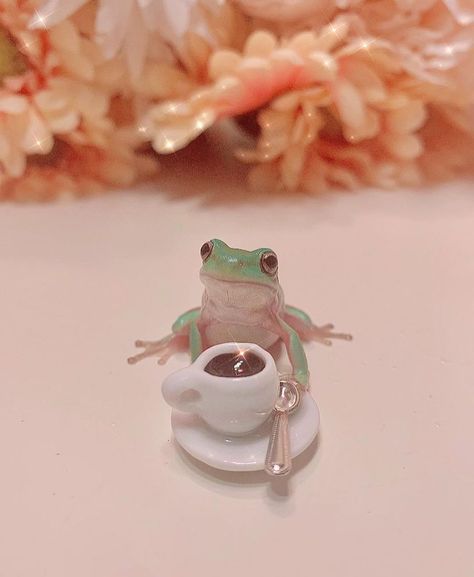 𝖋𝖗𝖔𝖌 on Instagram: “Credit: @theminidinosaurs _____ So cute 🥺🥺🥺 Guys I’m moving in like a week omg 🐸 🐸 #frogs #frogsdaily #frog #frogaesthetic…” Frog Costume, Pet Frogs, Baby Frog, Frog Pictures, Cute Reptiles, Frog Art, Cute Pets, Frog And Toad, Cute Frogs