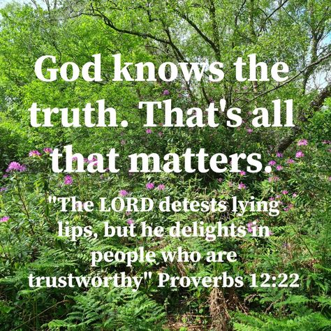 I Love Hearing Lies When I Know The Truth, Quotes About Lying Family, Truth Over Lies Quotes, Lies About Your Character, When People Lie About You Quotes, When God Reveals People, When People Tell Lies About You, People Lie To Make Themselves Look Good, Trust God Not People