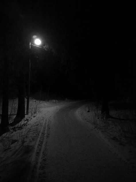 In The Woods At Night, The Woods At Night, Woods At Night, Dark Road, Darkness Falls, Photo D Art, Dark Places, Dark Photography, Foto Inspiration