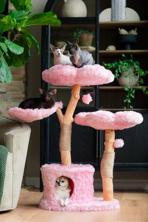 12 of The Cutest Themed Cat Trees You’ll See This Year - Whiskers Magoo Pink Cat Decor, Cat Tree Cute, Pink Cat Tree, Cute Cat Furniture, Cherry Blossom Room Decor, Cat Shelves Wall, Wall Cat Shelves, Shelves On Wall, Luxury Cat Furniture