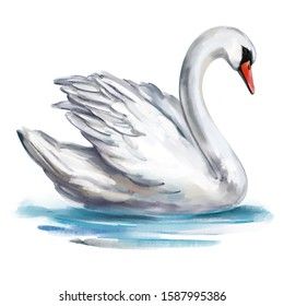 White Swan Bird On Pond Art Stock Illustration 1587995386 Wedding Art Illustration, Together Symbol, Swan Artwork, Pond Drawing, Swan Drawing, Pond Art, Swan Pictures, Swan Bird, Bird Painting Acrylic