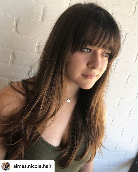 Curved bangs are all the rage in the hair industry! Whether you call them bangs, flicks or fringes, there are so many different types of bangs... which one is perfect for you? The first step is to learn about the different types of bangs! #Bangs #Hairstyles #HairTips #Haircuts Balayage, Strait Across Bangs, Eyebrow Bangs Long Hair, Choppy Bangs Straight Hair, Fringe Bangs With Straight Hair, Full Bangs Straight Hair, Long Hairstyles For Fine Hair With Bangs, Full Bangs With Medium Hair, Haircuts With Bangs And Glasses