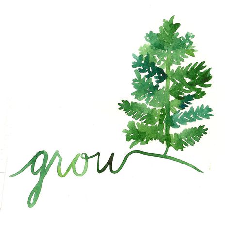 Grow Tumblr, Your Roots Quotes, Roots Quotes, Yoga Artwork, Age Of Aquarius, Green Life, Typography Quotes, Fast Growing, Word Art