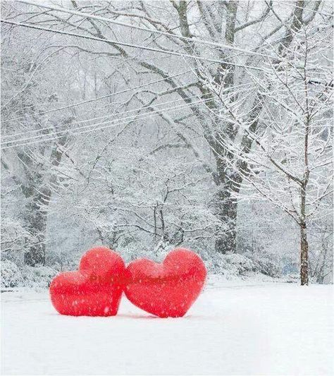 Heart In Nature, Christmas Friends, Love Heart Images, Ready For Love, I Love Heart, Winter Love, Heart Images, My Funny Valentine, Happy Heart