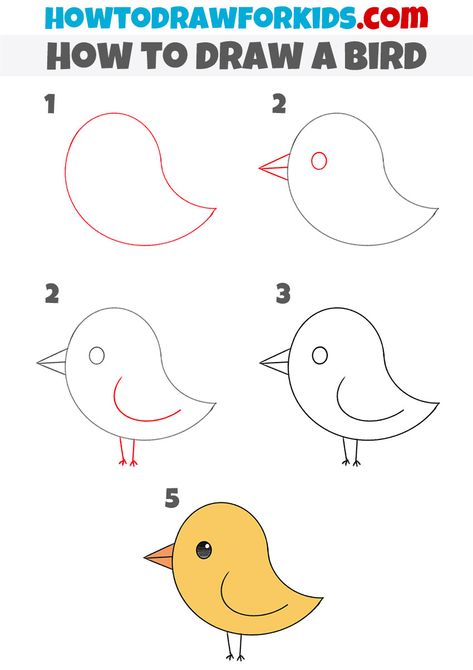 How to Draw a Bird for Kindergarten - Easy Drawing Tutorial For Kids Bird Directed Drawing For Kids, Simple Drawing For Kindergarten, How To Draw A Bird Step By Step Easy, How To Draw Birds Step By Step Simple, Easy Drawing For Kindergarten, Basic Drawing For Kids Step By Step, Drawing Basics For Kids, Easy Bird Drawing For Kids, How To Draw A Bird Easy