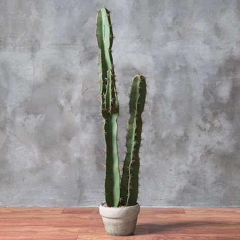 A strikingly realistic faux saguaro cactus people are sure to be asking about. Go ahead and let them get ~prickly~ — you keep your shopping secrets to yourself! I support you. Southwestern Style Decor, Artificial Cactus, Faux Cactus, Cactus Plant Pots, Boho Patio, Clay Planters, Wood Shadow Box, Cement Planters, Cactus Decor