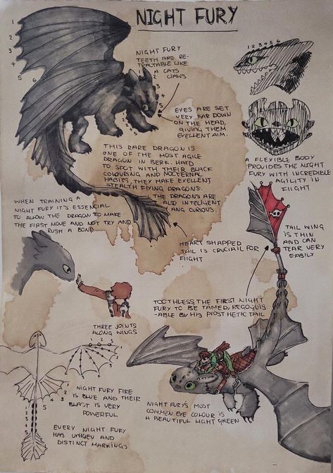 Aesthetic Journaling Ideas, Creaturi Mitice, Avatarul Aang, Aesthetic Journaling, Httyd Art, Výtvarné Reference, Dragon Sketch, Httyd Dragons, How To Train Dragon