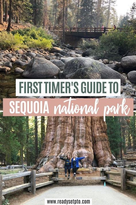 Las Vegas, Los Angeles, Sequoia National Park Itinerary, Sequoia National Forest, Sequoia And Kings Canyon National Park, Sequoia Aesthetic, Sequoia National Park Photography, National Parks In The Us, Yosemite Sequoia