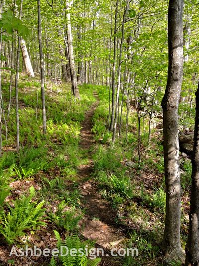 Woodland Trails by Ashbee Design Nature, Wood Trails Pathways, Making A Trail In Woods, Forest Walkway Design, Making Trails In The Woods, Woodland Playground, Nature Trail Design, Forest Pathways, Trail In The Woods