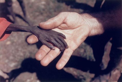 © 1980 Mike Wells. World Press Photo of the Year. Kevin Carter, Moving Photos, Powerful Pictures, World Press, Powerful Images, We Are The World, Make You Cry, It Goes On, صور مضحكة