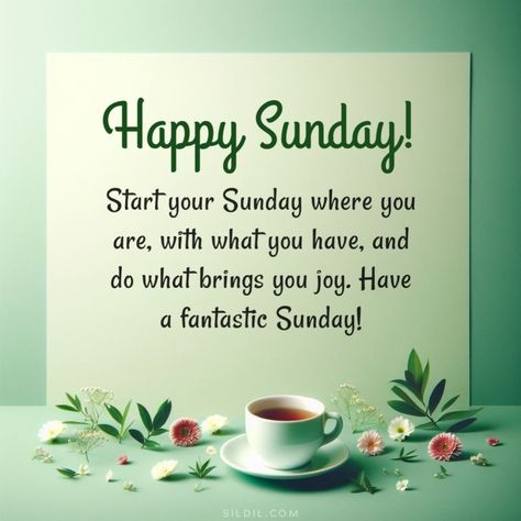 Happy Sunday Quotes Positivity, Happy Sunday Quotes Inspirational, Happy Sunday Wishes, Sunday Blessings Inspiration, Good Morning Sunday Wishes, Sunday Good Morning Wishes, Happy Sunday Messages, Sunday Morning Wishes, Blessed Sunday Quotes