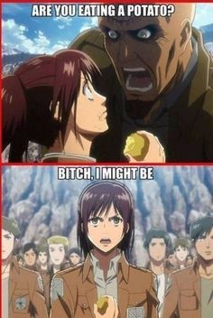 Humour, Potato Girl, Aot Funny, Accel World, Aot Memes, Eren X Mikasa, Titans Anime, Attack On Titan Funny, Kaichou Wa Maid Sama