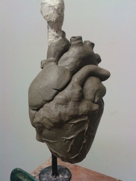 anatomical heart clay sculpture Realistic Clay Heart, 3d Heart Sculpture, Clay Heart Realistic, Realistic Heart Sculpture, Clay Realistic Heart, Human Clay Sculpture, Organ Sculpture, Heart Out Of Clay, Heart Clay Sculpture