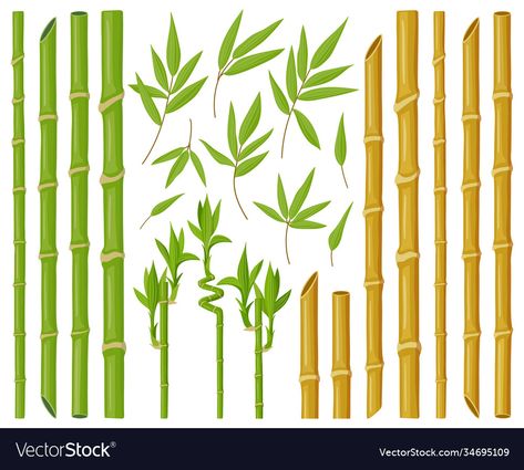 Balayage, Bamboo Cartoon, Cartoon Bamboo, Bamboo Vector, Plant Vector Illustration, Bamboo Drawing, Jungle Cartoon, Cartoon Inspiration, Plant Cartoon