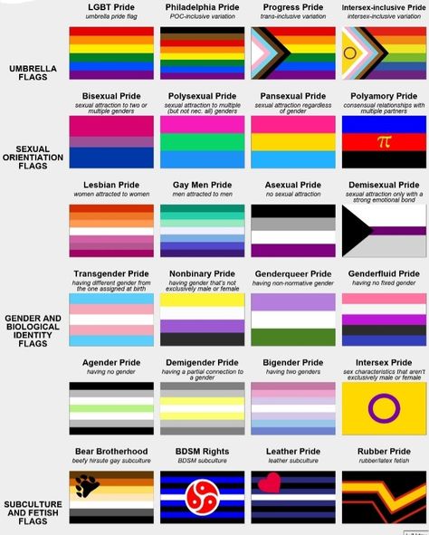 Here's a guide to pride flags! What Do Different Pride Flags Mean, Different Pride Flag Meanings, Pride Flags Sexuality, Alterous Attraction Flag, A Gender Flag, Flag Meanings Pride, What Do All The Pride Flags Mean, Pride Flag Guide, Pretty Pride Flags