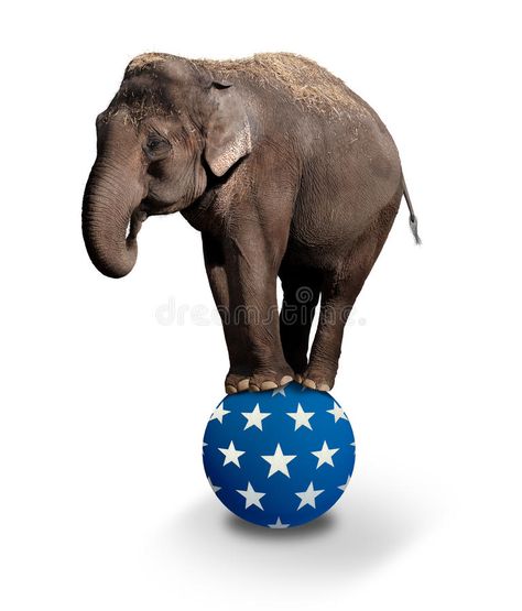 Balancing Elephant. Domesticated Asian Elephant balancing on a Circus ball. The , #AD, #Asian, #balancing, #Circus, #Balancing, #Elephant #ad Circus Ball, Steampunk Circus, Alabama Logo, Elephant Artwork, Halloween Circus, Circus Elephant, Circus Poster, Party Deco, Mutual Funds