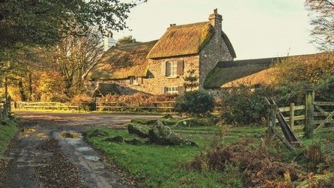 A Cottage In The Woods, Cottage In England, Cabin In The Countryside, Scotland Cottage Aesthetic, Rural House Aesthetic, Cottage In Field, Cottage In Woods Aesthetic, Cottage Asethic, House In Forest Aesthetic