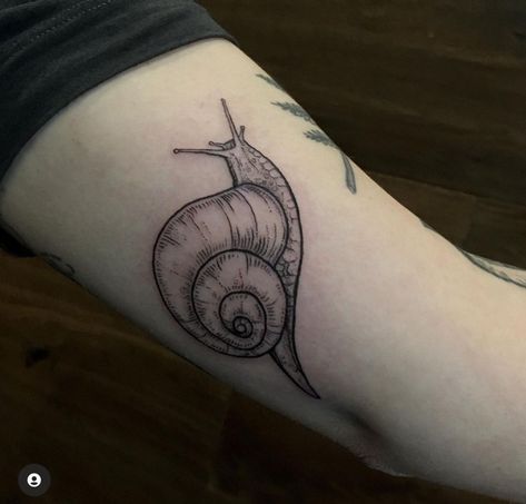 Snail Tattoo Realistic, Snail Tattoo Meaning, Black And Grey Snail Tattoo, Snail Tattoo Blackwork, Snail Tattoo Placement, Snail Trail Tattoo, Vintage Snail Illustration, Frog And Snail Tattoo, Realistic Snail Tattoo