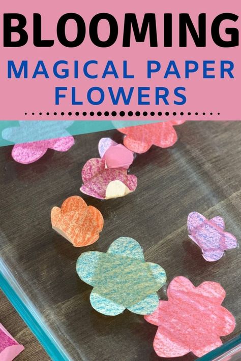 Easy Stem Activities Elementary, Cool Science Experiments For Kids, Steam Activities Elementary, Flower Activities For Kids, Spring Science Experiments, Spring Stem Activities, Spring Science Activities, Kindergarten Science Experiments, Flower Science