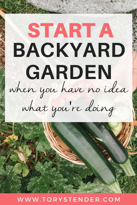 Garden Small Backyard, Garden Hacks Diy, First Garden, Easy Vegetables To Grow, Small Vegetable Gardens, Garden Small, Vegetable Garden For Beginners, Starting A Vegetable Garden, Backyard Vegetable Gardens