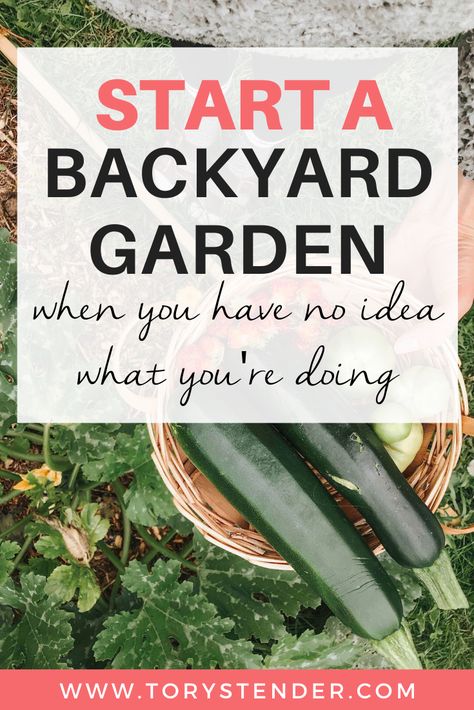 Garden Small Backyard, First Garden, Easy Vegetables To Grow, Small Vegetable Gardens, Starting A Vegetable Garden, Vegetable Garden For Beginners, Garden Small, Backyard Vegetable Gardens, Small Backyard Gardens