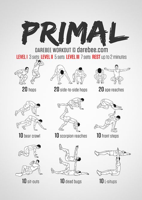 Primal workout Fourth Wing Workout, Darbee Workout, Movement Workout, Primal Movement, Paleo Workout, Animal Flow, Superhero Workout, Animal Movement, Calisthenics Workout