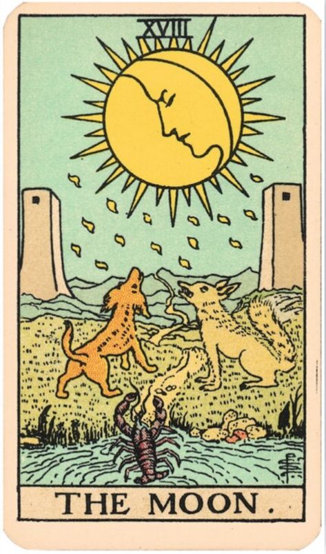 Rider Waite Tarot Cards, Moon Tarot Card, All Tarot Cards, The Moon Tarot Card, Rider Waite Tarot Decks, Tarot Significado, The Sun Tarot, The Moon Tarot, Witch Tarot