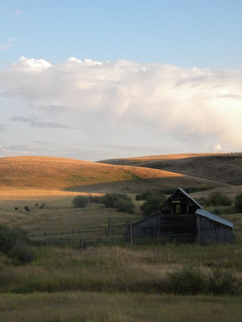 Nature, Desert Farm Aesthetic, Prairie Life Aesthetic, Prarie Core Aesthetic, Little House On The Prairie Aesthetic, Prarie Core, Farm Moodboard, Prairie Photography, 1800 Aesthetic