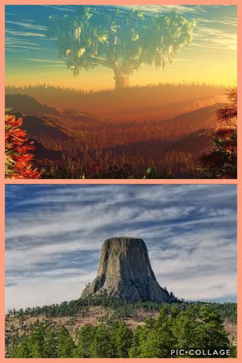 Strange History, Nature, Devils Tower Wyoming, Ancient Trees, Mysteries Of The World, Devils Tower, Tree Stumps, Giant Tree, Bible Illustrations