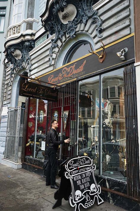 Goth Cafe Aesthetic, Goth Restaurant, Goth Bakery, Gothic Cafe, Goth Bar, Gothic Boutique, Hutch Bar, Gothic Store, Oddities Shop