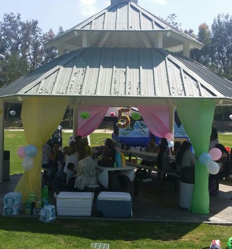 Birthday party at the park decorations  I used vinyl table cloths from Dollar Tree for the curtains. Masking tape worked really well with hanging them. I used curling ribbon to tie the balloons to the columns. I used tissue paper I bought at Dollar Tree to make the pom poms. Birthday Party At The Park, Park Birthday Party, Party At The Park, Birthday Party At Park, Vinyl Table, Park Birthday, Table Cloths, Princess Birthday Party, Hung Up