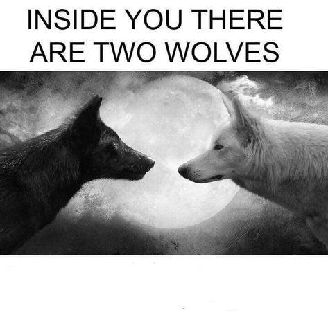Wolf Meme, Ski Hill, Two Wolves, Alpha Wolf, Text Memes, Two Dogs, Alpha Male, Meme Template, Girl Falling