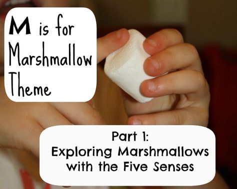 Exploring marshmallows with the five senses. (Fantastic Fun and Learning) 5 Senses Preschool, Prek Science, Five Senses Preschool, 5 Senses Activities, Pre-k Science, Senses Preschool, The 5 Senses, My Five Senses, Senses Activities