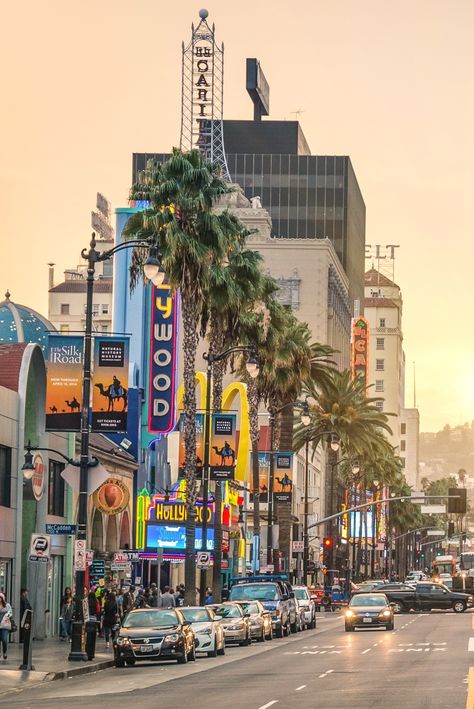 Las Vegas, Giant Sequoia Trees, Los Angeles Aesthetic, Places In California, Nevada Mountains, Sleeping Beauty Castle, Hollywood Boulevard, Santa Monica California, Sequoia National Park