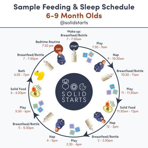 Baby Solid Food Schedule, Solid Starts, Baby Food Schedule, Baby Solid Food, 8 Month Old Baby, 5 Month Old Baby, 9 Month Old Baby, Baby Routine, Baby Feeding Schedule