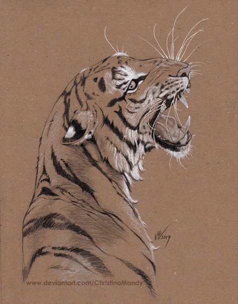 Brown Paper Art Drawing, Brown Paper Drawing, Toned Paper Drawing, Tiger Sketch, Tiger Drawing, Pencil Drawings Of Animals, Animal Illustration Art, Toned Paper, Tiger Art