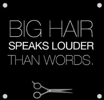 Big hair dont care Salon Style, Hair Glamour, Big Hair Dont Care, Spa Ideas, Dont Care, Hair Stuff, Salon Decor, Beauty Quotes, Hair Humor