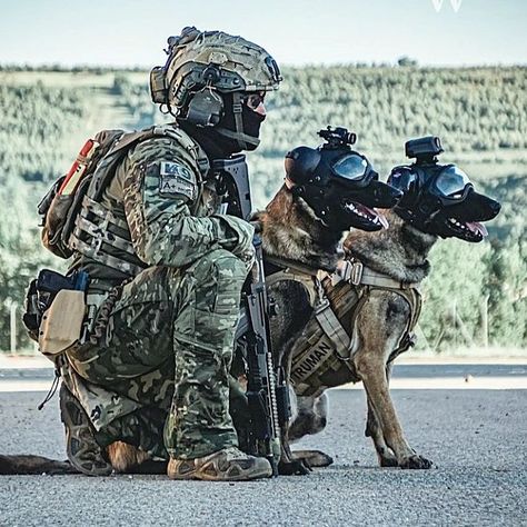 K9 Unit/ Working dogs/ on Instagram: “Tactical Spanish Special Forces 🇪🇦 ........................................ 📷 by @warmemories_spain 🇪🇦 #militarydogsofinstagram…” K9 Police Dogs, Special Forces Army, Best Special Forces, Belgium Malinois, Dog Soldiers, Army Dogs, Service Dogs Gear, Dog Hero, K9 Dogs